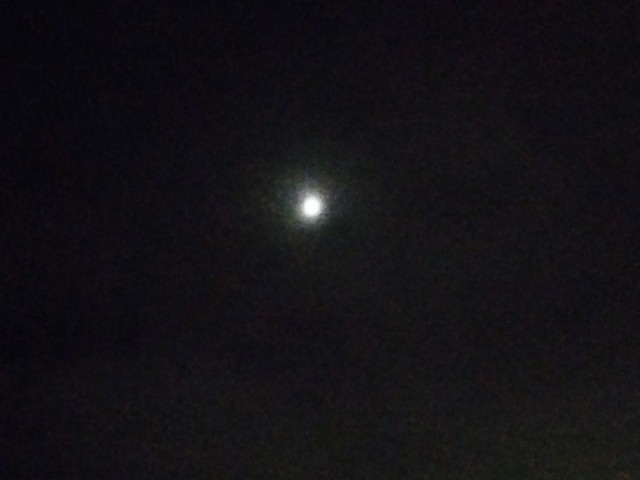 image (3)