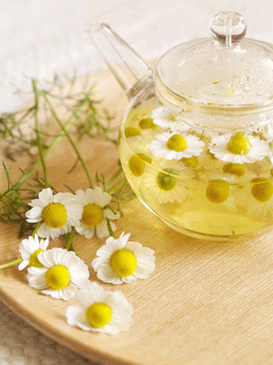 blog_camomile